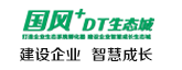 國風+DT生態城