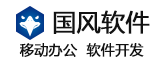 國風軟件